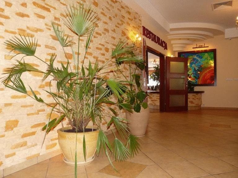 Zajazd Sokol Hotel Nienadówka Exterior foto